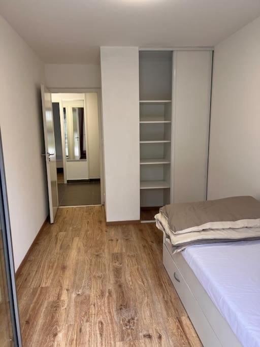 Appartement Red Jardin Tres Calme Saint-Louis  Buitenkant foto